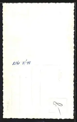 AK Hirschbach, Totalansicht aus dem Wald