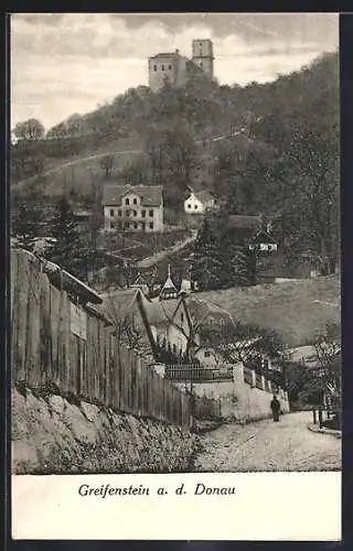 AK Greifenstein a. d. Donau, Ortspartie mit Burg