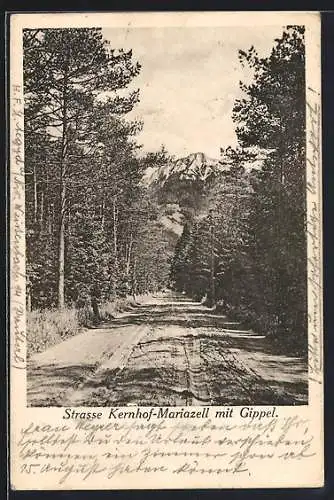 AK Mariazell, Strasse Kernhof-Mariazell mit Gippel