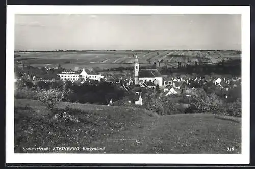 AK Steinberg /Burgenland, Ortspanorama mit Feldern