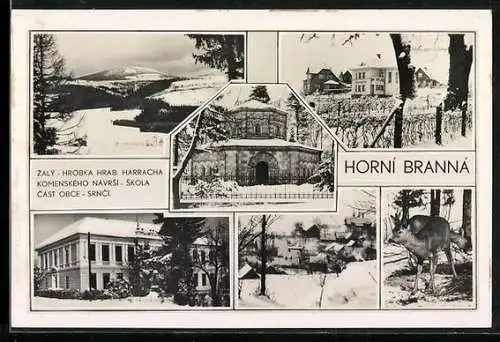 AK Horni Branná, Zalý, Hrobka Hrab. Harracha, Komenského Návrsi, Skola, Cast Obce
