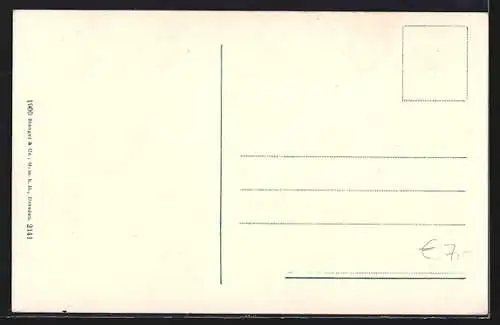 AK Sterzing, Strassenpartie mit Gasthaus zur goldenen Rose