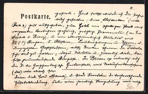 AK Brixen, Gasthaus zum Elephanten, Weinstube, Innenansicht