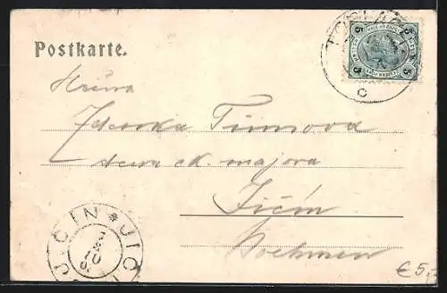 AK Landro /Ampezzotal, Blick von der Terrasse des Hotel Bauer