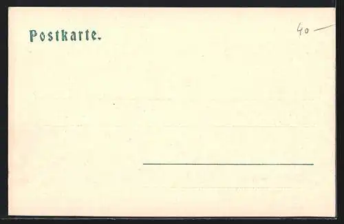 AK Mühlbach und Eidexspitze im Pusterthal, Totalansicht