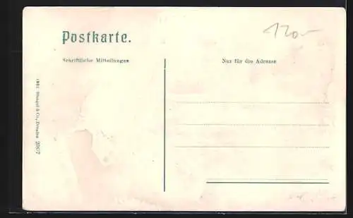 AK Längenfeld, Aschbach, Panorama