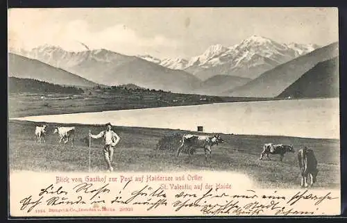 AK St. Valentin auf der Haide, Blick vom Gasthof Zur Post auf Haidersee und Ortler