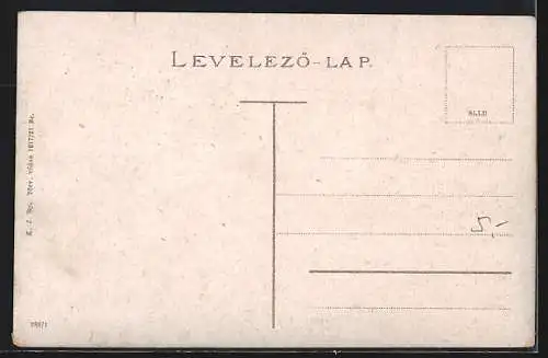 AK Brasso-Kronstadt, Latkep a feher bastyaval, Ansicht mit der weissen Bastei