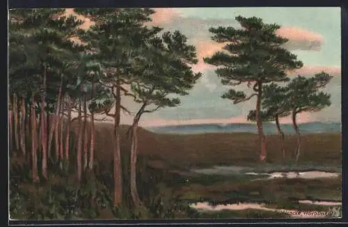 Künstler-AK Sophie Wencke: Worpswede, Ortspartie mit Bäumen