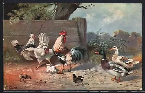 Künstler-AK Alfred Schönian: Hühner, Gänse und Küken