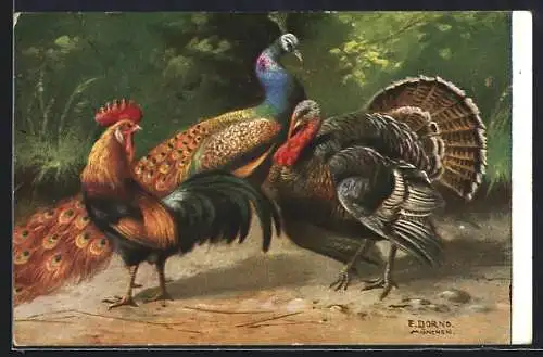 Künstler-AK Hahn, Truthahn und männlicher Pfau