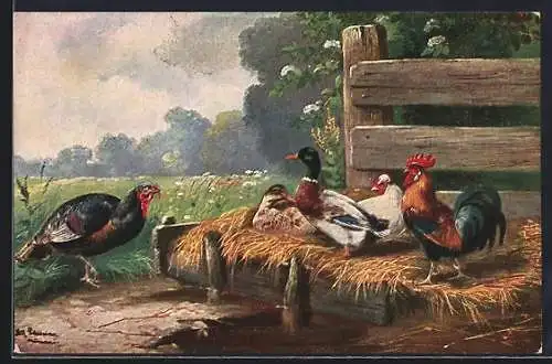 Künstler-AK Alfred Schönian: Truthahn beäugt Enten und Hühner im Stroh