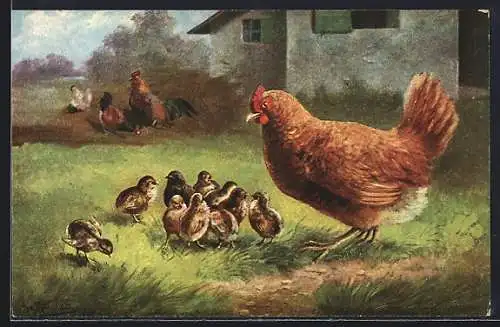 Künstler-AK August Müller - München: Huhn mit Küken auf einer Wiese, Im Hintergrund Hahn