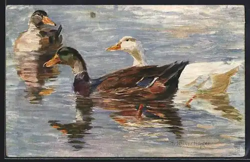 Künstler-AK Stockenten auf einem See