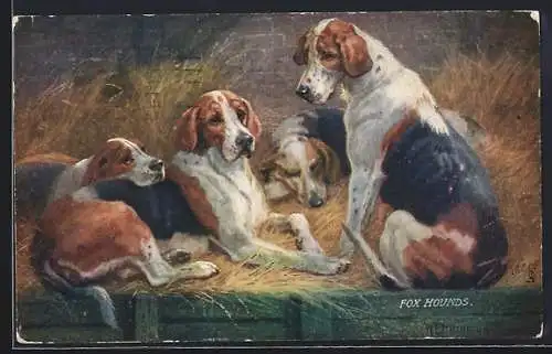 AK Fox Hounds im Heu, Jagdhund