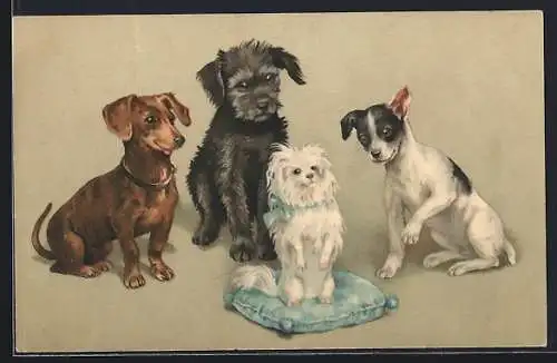 AK Hunde mit einem Terrier