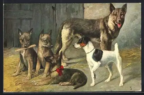 AK Schäferhund mit Jungen und ein Jack Russell Terrier