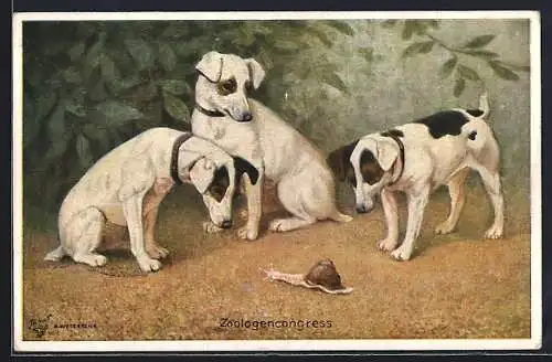 AK Zoologencongress, Drei Terrier betrachten eine Schnecke