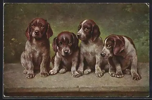 Künstler-AK Carl Reichert: Hundewelpen
