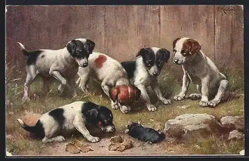 AK Junge Hunde mit totem Maulwurf