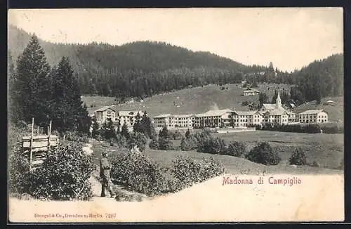 AK Madonna di Campiglio, Panorama