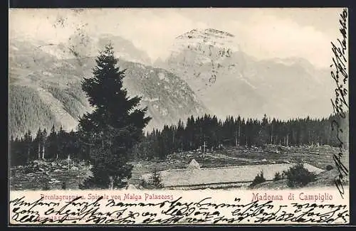 AK Madonna di Campiglio, Brentagruppe und Spinale von Malga Pataseoss um 1900