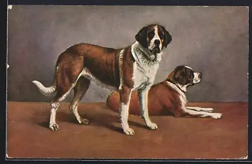 AK Zwei Jagdhunde, stehend und liegend