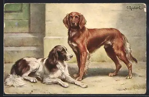 Künstler-AK C.Reichert: zwei Hunde vor einer Tür