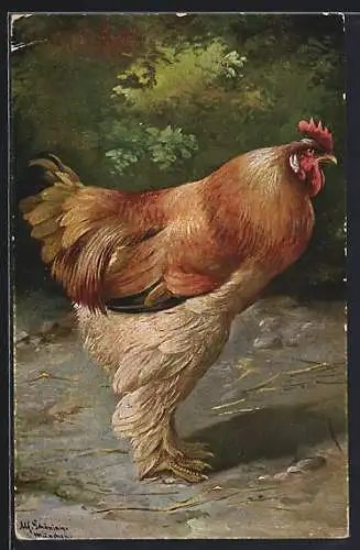 Künstler-AK Alfred Schönian: Huhn im Grünen