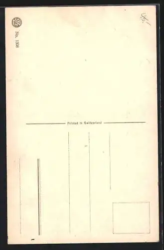 AK Pfauenpaar an einem Gewässer