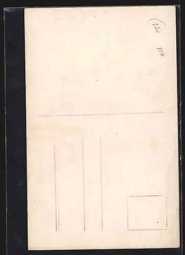 AK Mode 1909, Damenporträt mit einem Hut