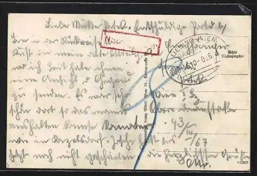 AK Rust am See, Blick auf den Ort