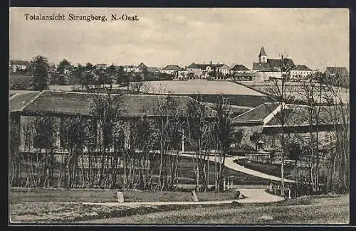 AK Strengberg /N.-Oest., Blick in den Ort