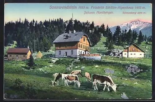 AK Sonnwendstein, Friedrich Schüler Alpenhaus mit Gipfel und Schneeberg