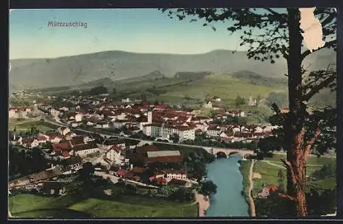 AK Mürzzuschlag, Ortsansicht aus der Luft