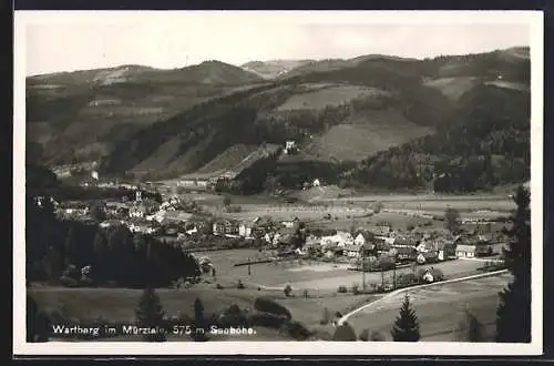 AK Wartberg im Mürztale, Teilansicht mit Strassenpartie
