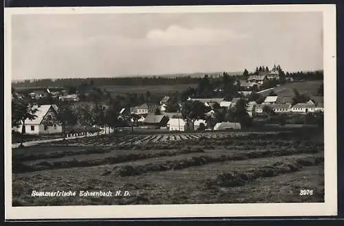 AK Echsenbach /N. D., Teilansicht mit Strassenpartie