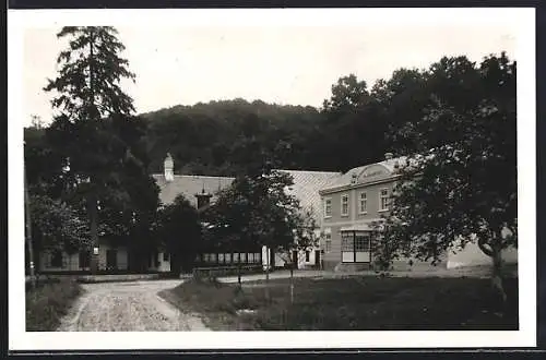 AK Schleinbach, Waldheim Zur Fichte Gastwirtschaft und Mühle Svec-Gehlen