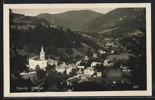 AK Opponitz, Totalansicht