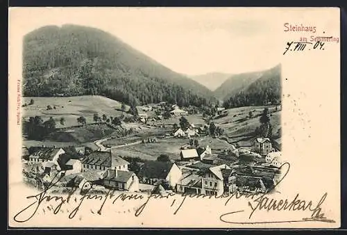 AK Steinhaus am Semmering, Ortsansicht mit Bergen