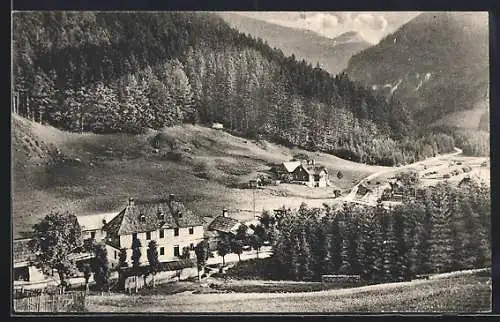 AK Nasswald /N.-Oe., Wallner`s Gasthof gegen das Reisstal