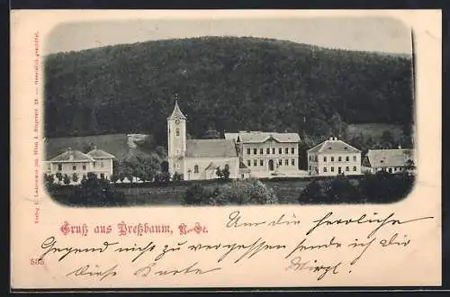 AK Pressbaum /N.-Oe., Ortspartie mit Kirche