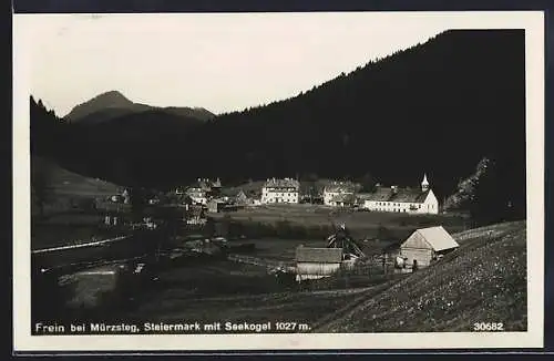 AK Frein bei Mürzsteg, Ortsansicht mit Seekogel