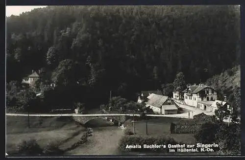AK Höllental /N.-Oe., Gasthof zur Singerin von Amalia Bachler