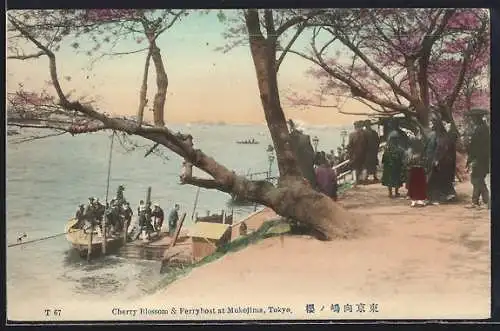 AK Tokyo, cherry Blossom & Ferryhoat at Mukojima