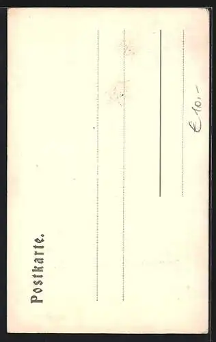AK Sterzing, Strassenpartie mit Geschäften, um 1900