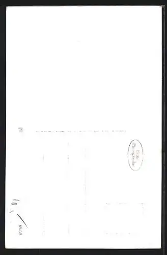 AK Krumau / Cesky Krumlov, Flusspartie und Hotel Rose