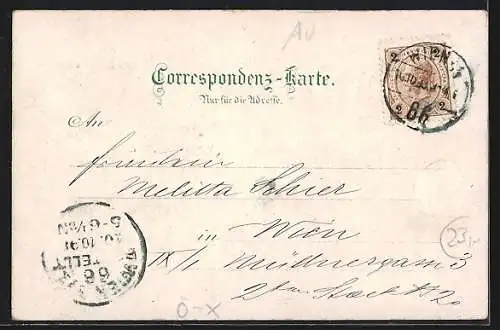 Lithographie Wien, Gasthaus Süsses Löchel, Inneres Methkeller, Eingang