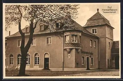 AK Bad Hermannsborn, Gasthaus Tageswirtschaft Brunnenschenke
