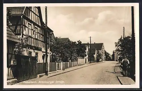 AK Haselbach / S.A., Altenburger Strasse mit Häusern